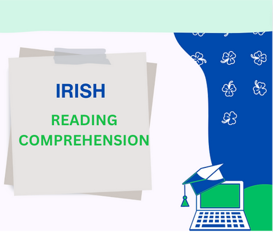 Irish: Reading Comprehension Notes Pack