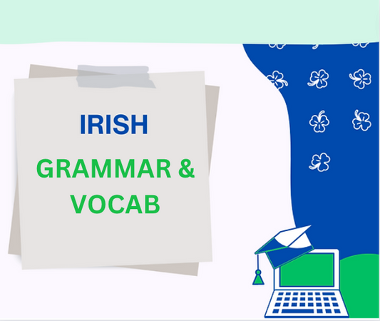 Irish: Grammar and Vocab Notes Pack