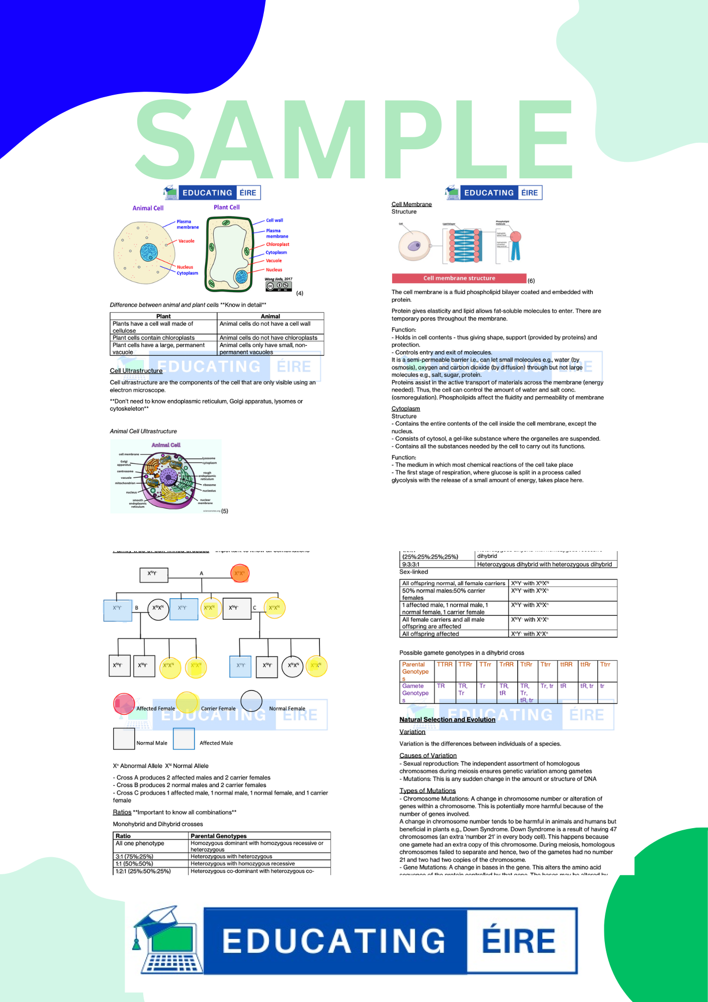 Biology: Unit Two Notes Pack