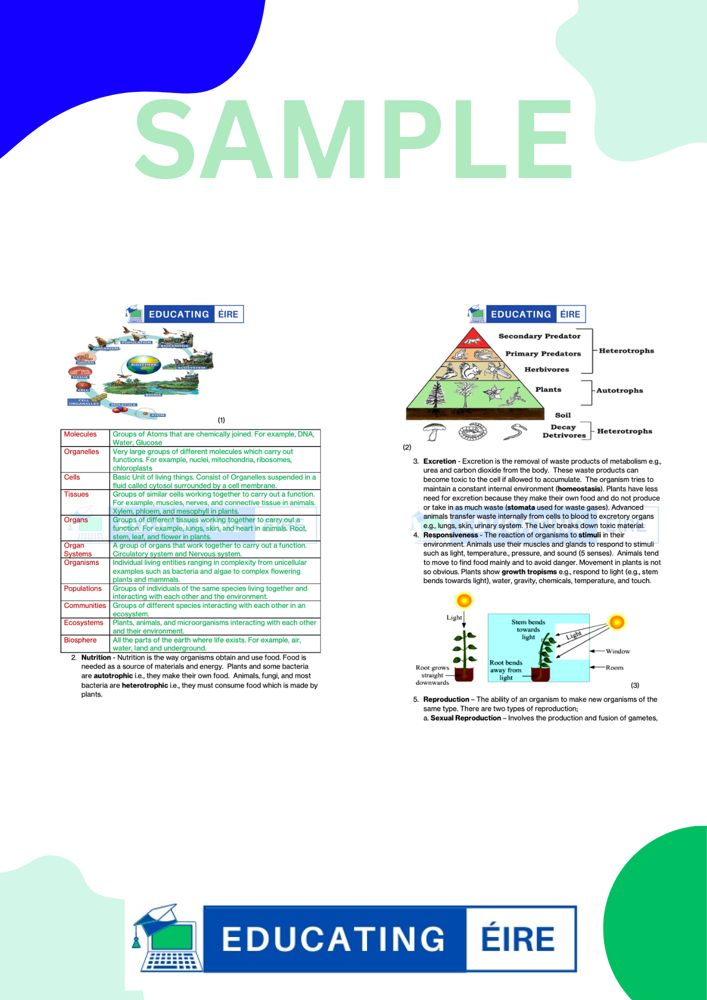 Biology: Unit Three Notes Pack