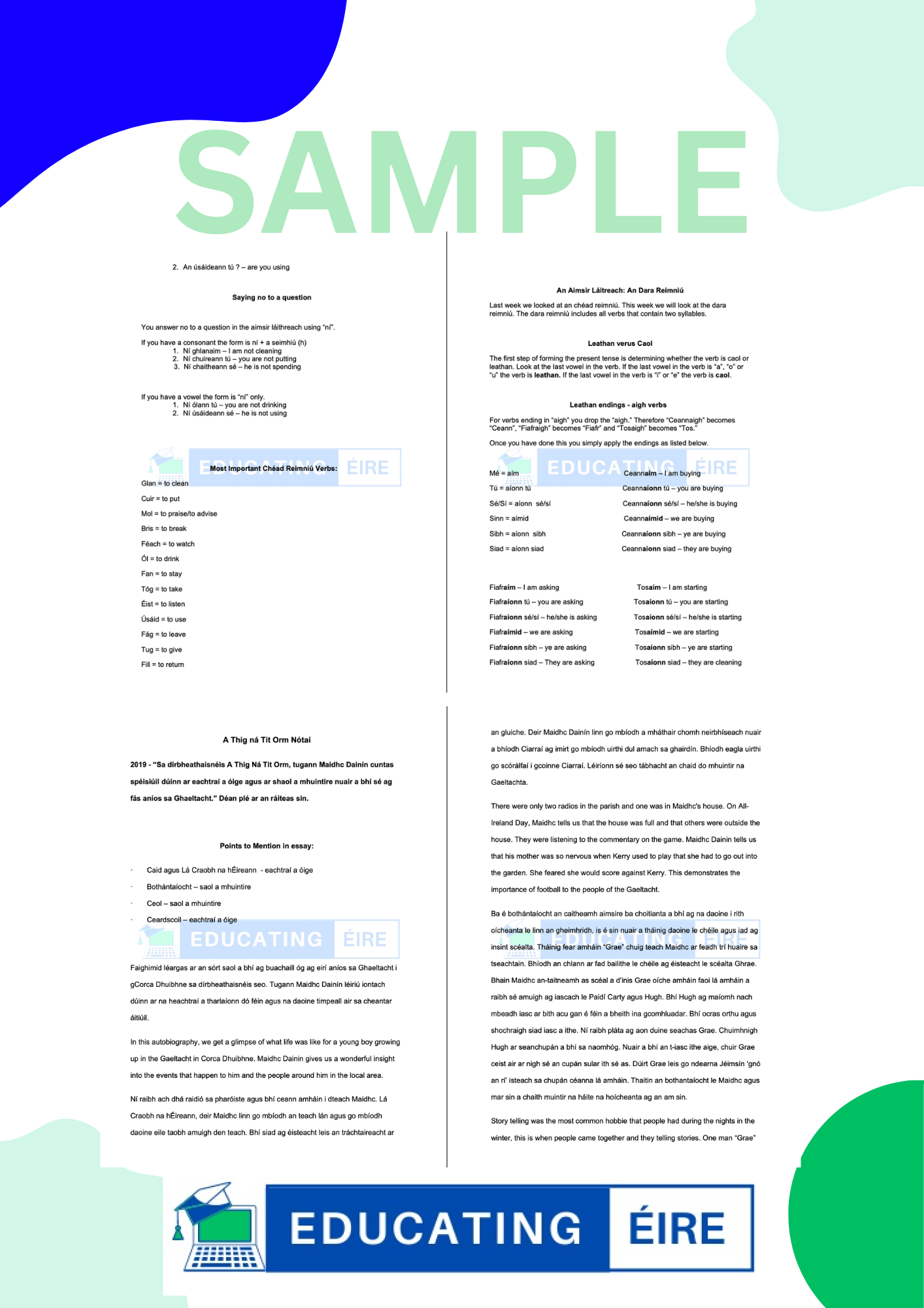 Irish: Essay Notes Pack